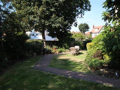 Picture 12